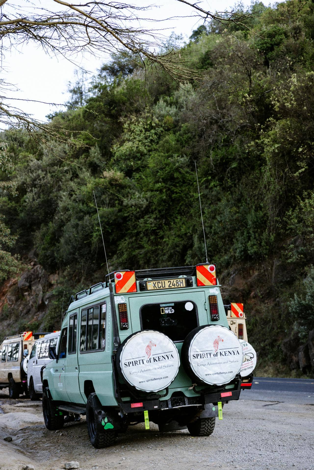 Before You Book Kenya, Read This First kenya